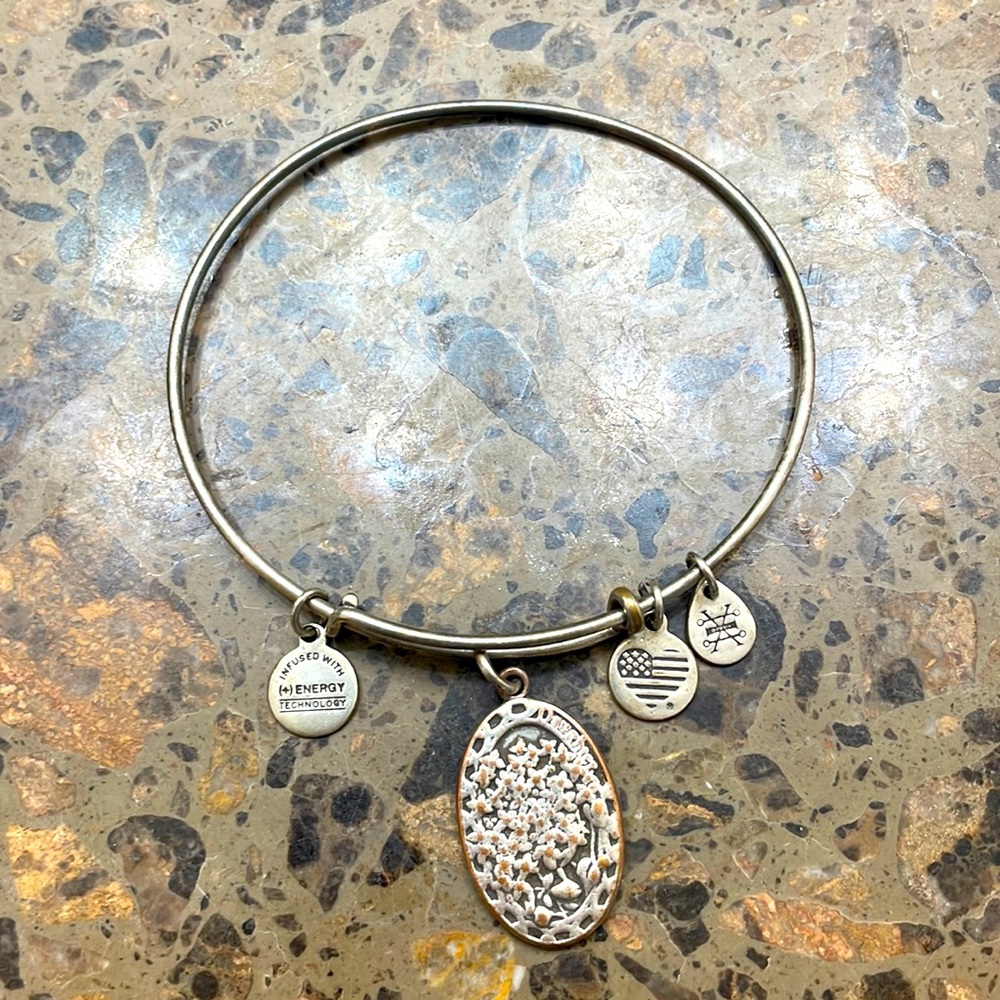 Alex and Ani silver bracelet